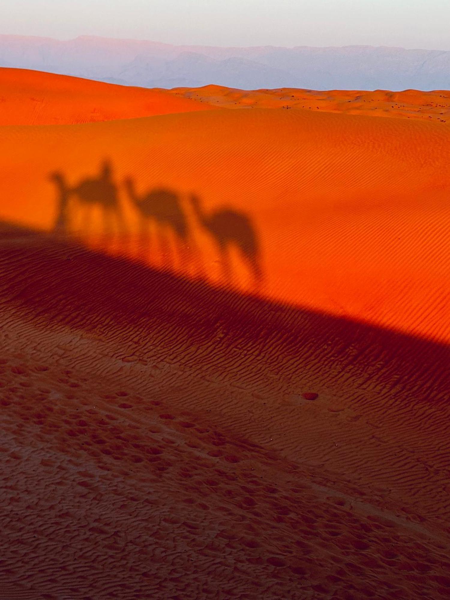 Alsarmadi Desert Camp Shāhiq Exterior photo
